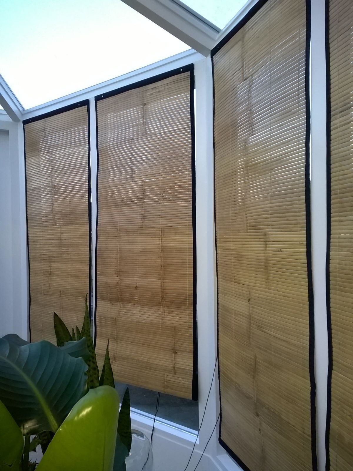 Permanent eetpatroon Rafflesia Arnoldi Bamboe rolgordijnen – Slaapkamer meubels